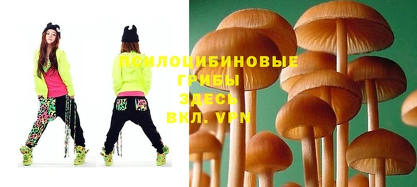 экстази Михайлов