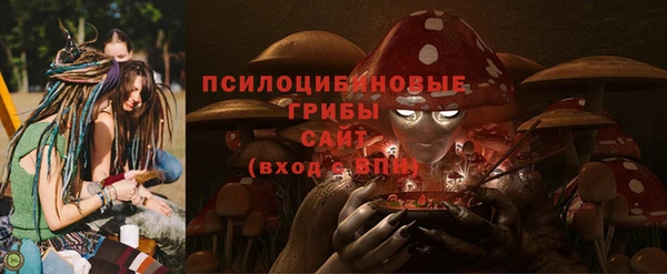 экстази Михайлов